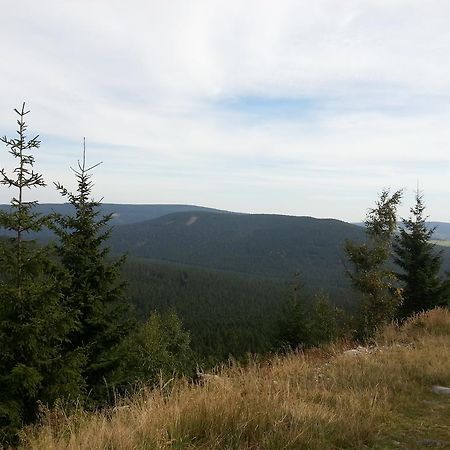 Penzion U Mlyna Rejvíz Buitenkant foto