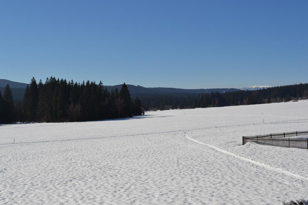 Penzion U Mlyna Rejvíz Buitenkant foto